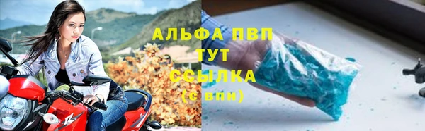 амф Гусиноозёрск