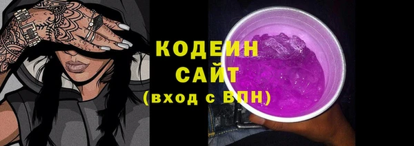 амф Гусиноозёрск
