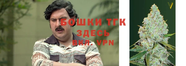 дмт Гусь-Хрустальный