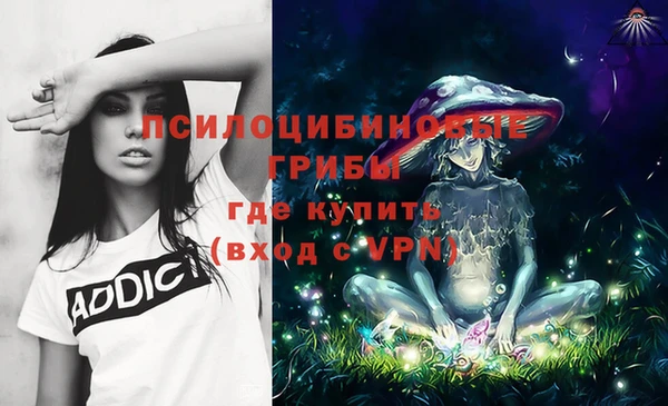 дмт Гусь-Хрустальный