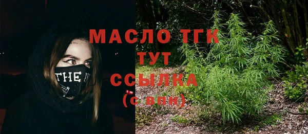 амф Гусиноозёрск