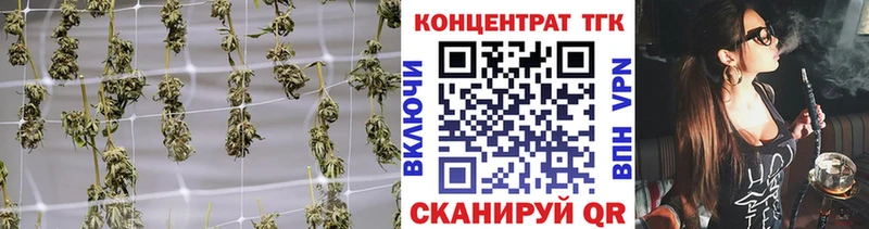 OMG маркетплейс  даркнет сайт  Медногорск  ТГК гашишное масло 