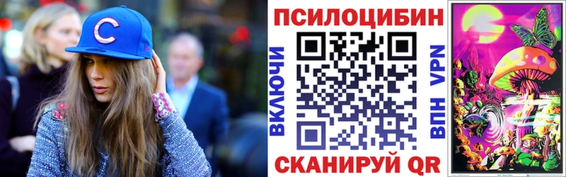 Галлюциногенные грибы GOLDEN TEACHER  купить   hydra онион  Медногорск 
