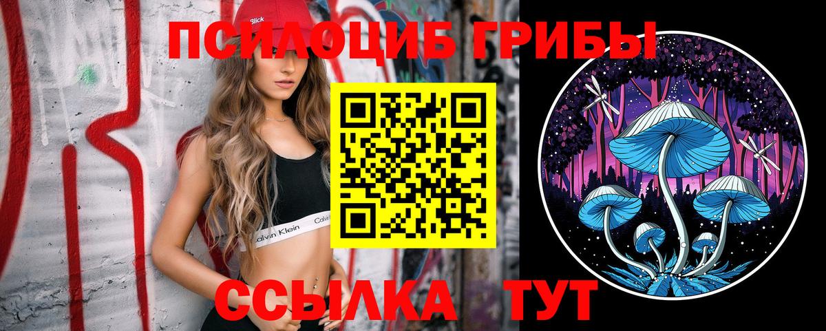Псилоцибиновые грибы GOLDEN TEACHER Медногорск