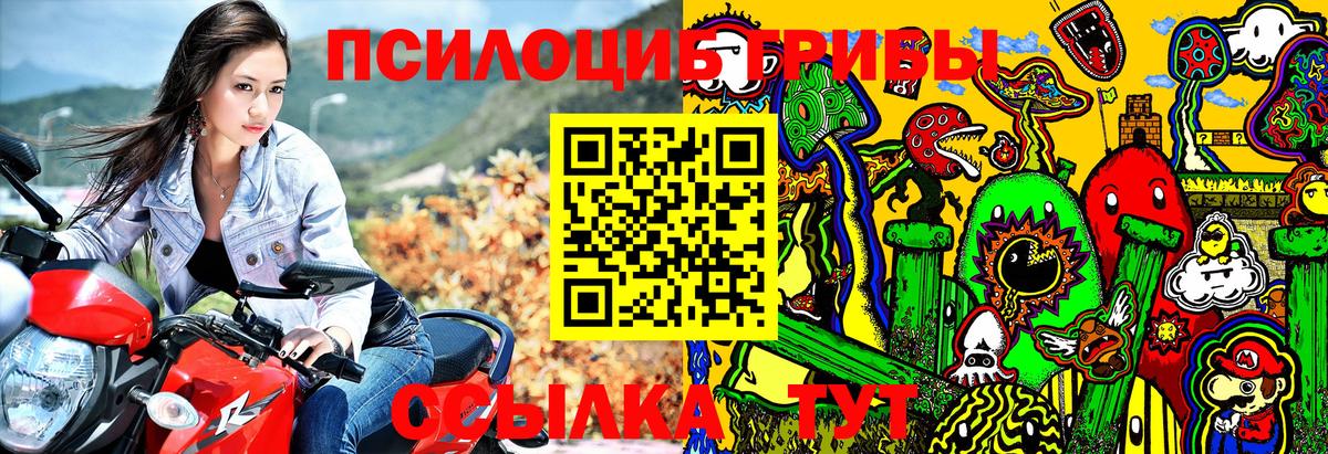 Галлюциногенные грибы Psilocybine cubensis  Медногорск  Галлюциногенные грибы GOLDEN TEACHER 