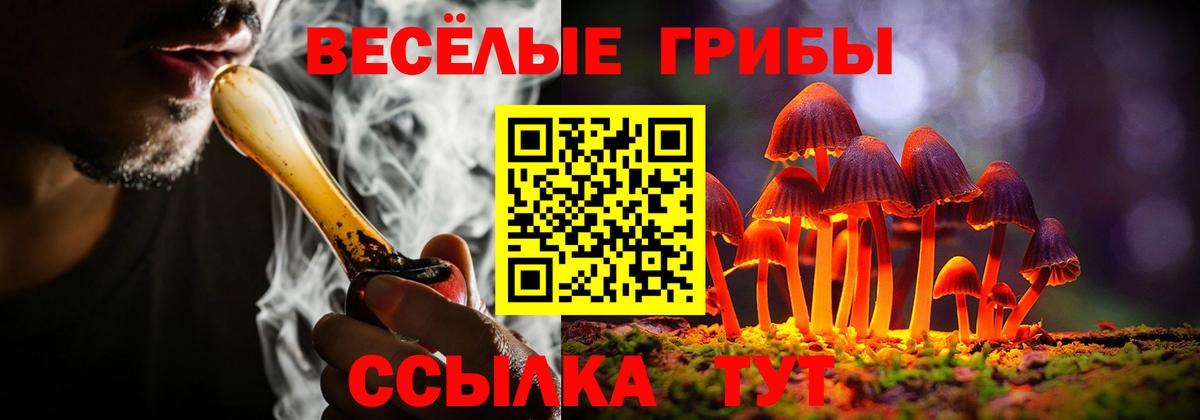 где можно купить наркотик  Псилоцибиновые грибы ЛСД  Вход с VPN  Медногорск 